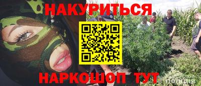 СК Лесосибирск