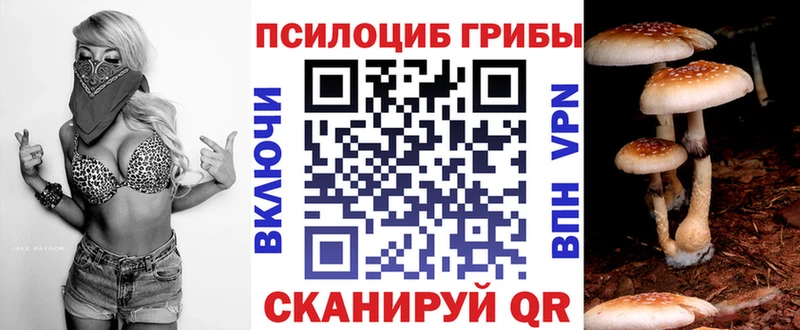 Псилоцибиновые грибы мицелий  Чистополь 