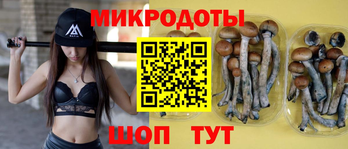 Псилоцибиновые грибы ЛСД Чистополь