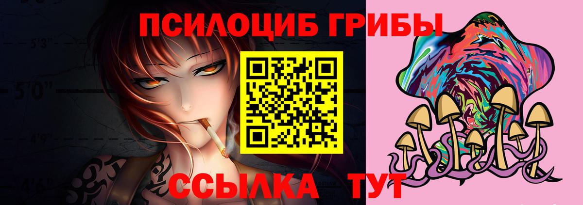 Галлюциногенные грибы прущие грибы  Вход с VPN  Чистополь 