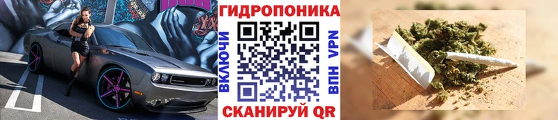 kraken ONION  Чистополь  Марихуана гибрид  наркотики 